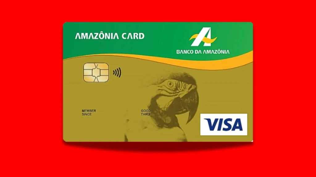 Cartão de Crédito Amazônia Card: Todos os Benefícios e como solicitar o seu